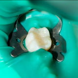 Rubber Dam Clamp Adult 3