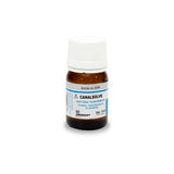 Ammdent Canalsolve Root Canal Filling Remover / GP Solvent