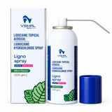 Vishal DentoCare Ligno Topical Mint Spray (100gm)