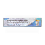 Richdent Active Toothpaste 100gm (Pack of 2)