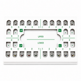 Buy Leone Roth MBT 022 Mini Orthodontic Brackets at www.dentalprod.com