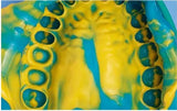 Dental Impression Material