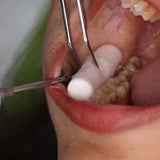 PMT Set of 3 Instrument Kit 