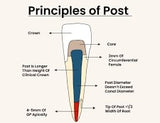 Stim Flosal Pick & Floss / Dental floss
