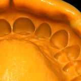 Zhermack Zetaplus Indurent Catalyst Gel / C-Silicone Impression Material