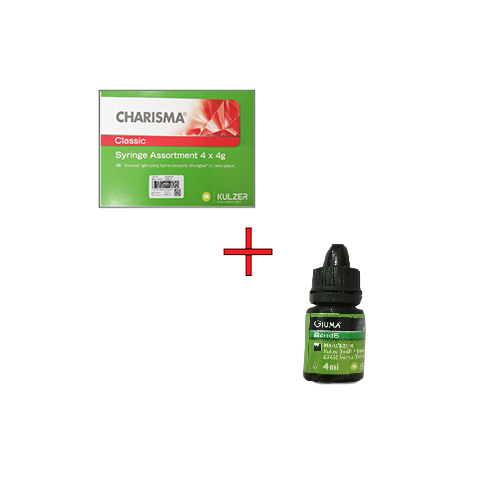 Charisma Classic Kit 4x4g Syringe Assortment Basic + With Gluma Bond 5